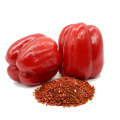 Pure Nature Dehydrated Bulk Red Bell Pepper