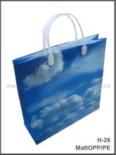 Shopping Carrier Bag