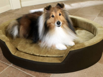 memory foam pet bed