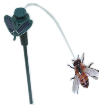 Bee Solar Garden Plant Sticks