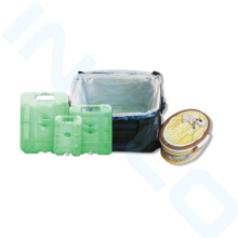 Reusable gel cooler ice boxes