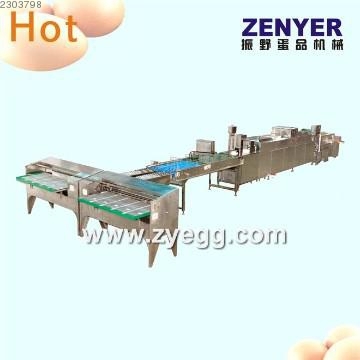 egg processing equipment/egg cleaning grading equipment