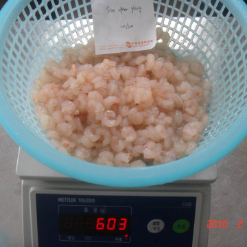 Frozen Pud Red Shrimp Iqf Size 100-200