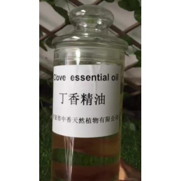 Wholesale Professional FACTORY Clove Essential Oil