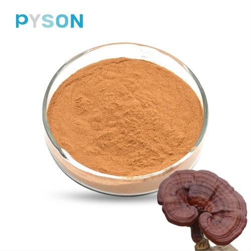 Extrait de champignon Reishi 50% UV Fruit