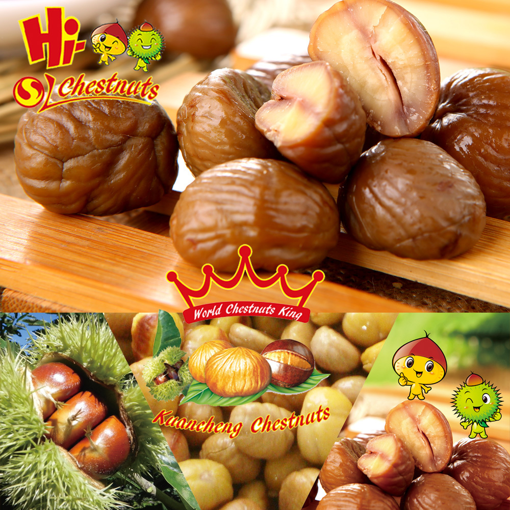 Wholesale OEM Snacks Roasted Peeled Chestnuts