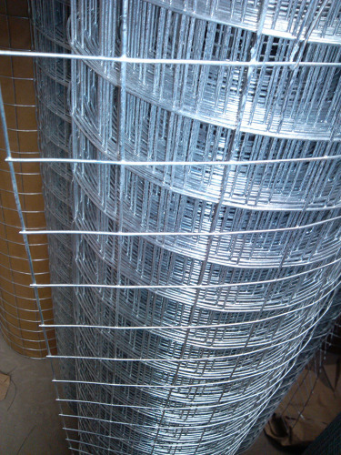 Galvaniserad Svetsad Wire Mesh