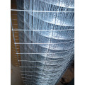 Galvanized Welded Wire Mesh