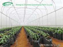 Nomal Size Tunnel Greenhouse