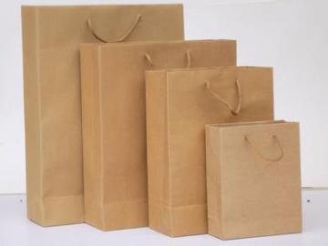 no prinitng plain kraft paper bag