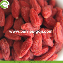 Koop Wholesale Fruit Sweet Eu Standard Goji Berry