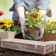 Rustic Solid Wood Rectangular Planter Box - Artistic Engraved Love Style Home Decor Gift