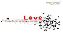 Stylish 3d Removable Wall Stickers Clings / Tv Wall Decals