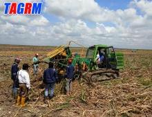 Hydraulic design combine harvester SH15 sugar cane harvester