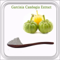 Лучшая цена гидрокси лимонная кислота garcinia cambogia экстракт