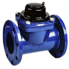 woltman water meter