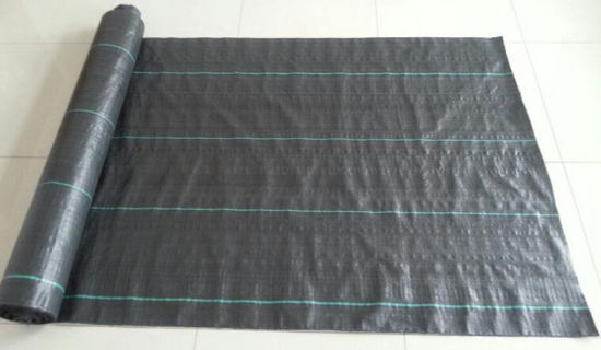 Tissu géotextile tissé PP avec des prix compétitifs