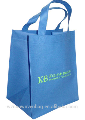 Promotional Reusable Printed Non-Woven Bag Non-Woven Shopping