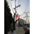 LED Smart Street laight