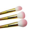 10pc Ombre Makeup Brush Collection