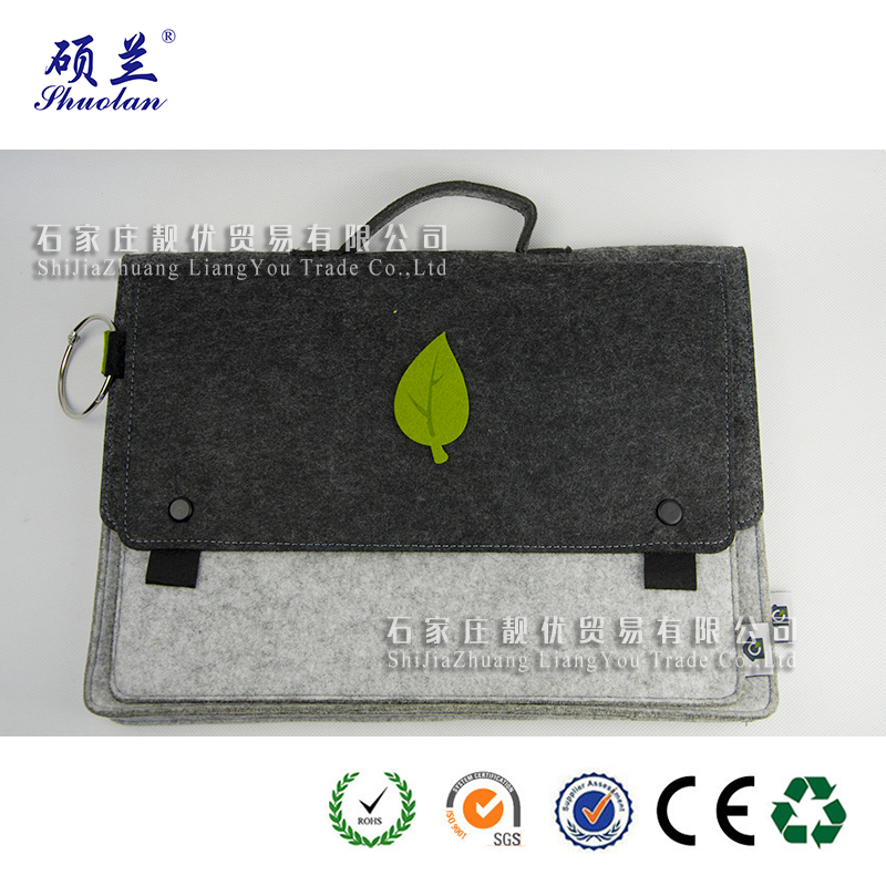 Popular Felt Case