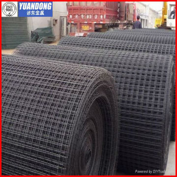 Black Wire Welded mesh/Black Welded Wire Mesh(professional producer)