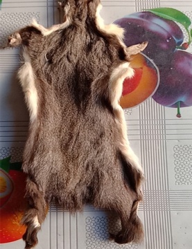 squirrel fur skin natural color squirrel skin pelt