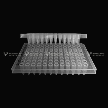 0,2ml Clear 96 Well-PCR-Platten
