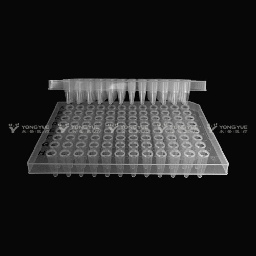 0.2ml Clear 96 Yaxşı PCR plitələri