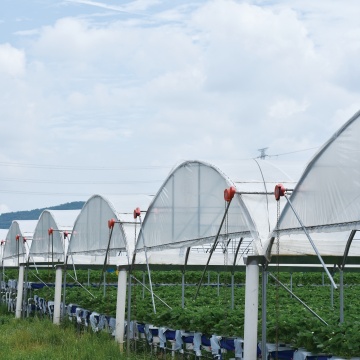 4mil-8mil High Mechanical Performance Agricultural film