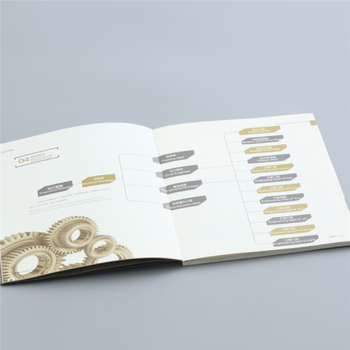 Fold Foldlet Folder Folder Brochure afdrukken