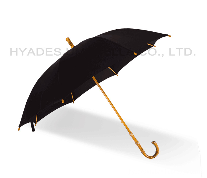 bamboo stick umbrella