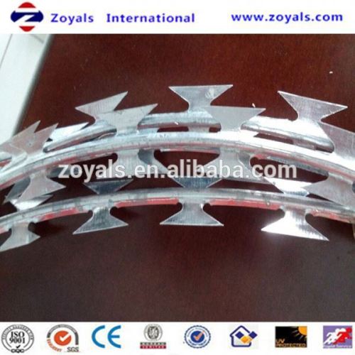 2015 good quality plastic bird spikes