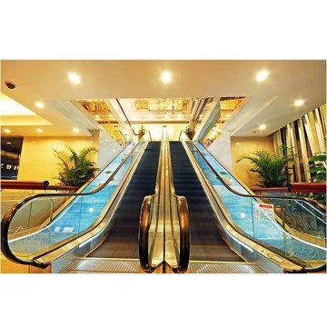 FUJI Low-Cost Residential and Commercial Elevators & High-Quality Escalators at Affordable Prices