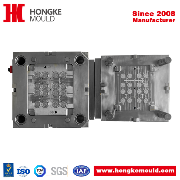 Precision Small Appliance Injection Mould