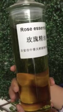 100% pure natural rose oil for Aromatherapy Spa