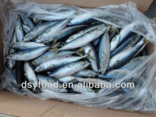 whole pacific macherel