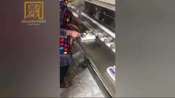 Sardine can seamer machine with automatic weighing