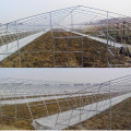 Single Span Plastic Film Greenhouse For Plant