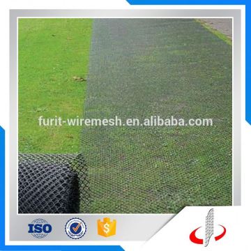 Green Grass Protection Plastic Mesh