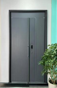 Exquisite - crafted Entrance Door