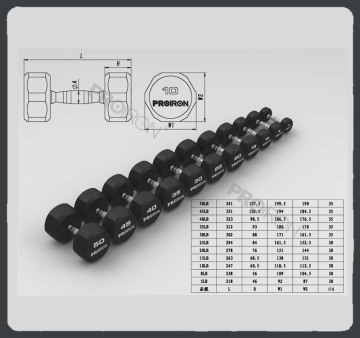 Exercise Fitness Automatic Production Line Mould Rubber Dumbbell