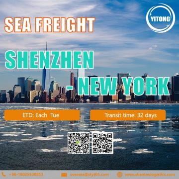 Frete marinho internacional de Shenzhen para Nova York