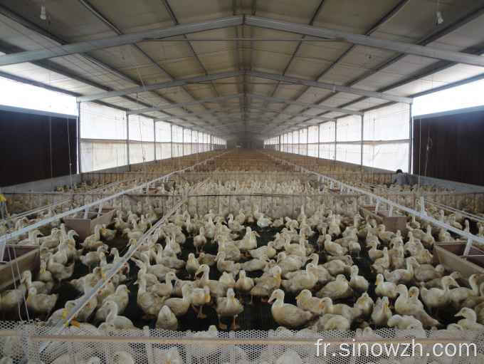 Structure en acier de ferme de hangar