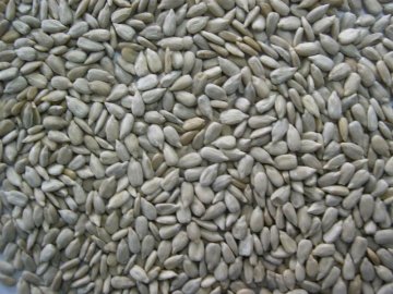 organic sunflower seed kernels