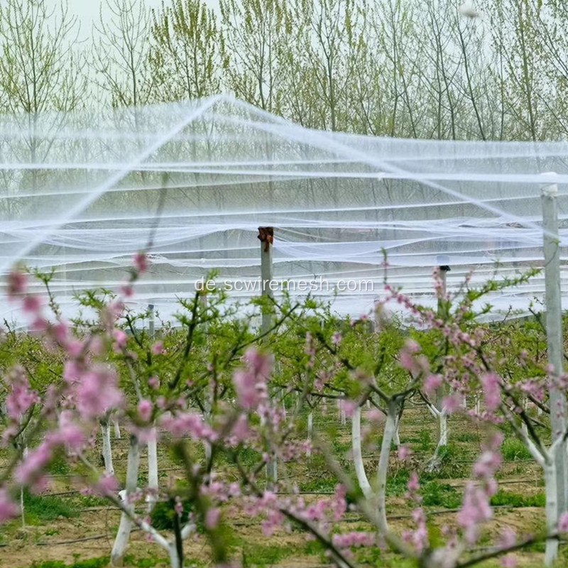 Garten-Vogel-Filetarbeit hält Schädlingsvögel ab