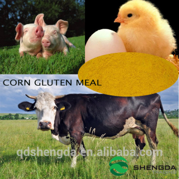 yellow corn chicken feed