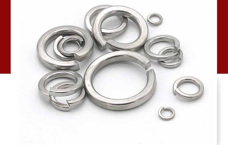 Custom made Various Stainless Steel Spring Washers