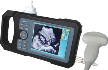 Veterinary ultrasound equipment with low cost