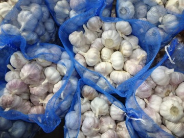 New Crop Regular White Garlic